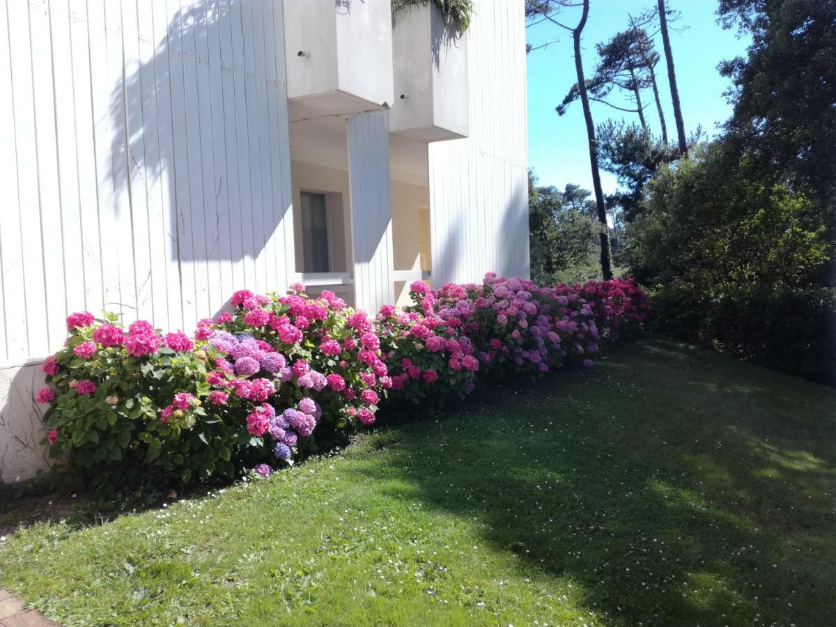 Apartamento Location D Armelle - *